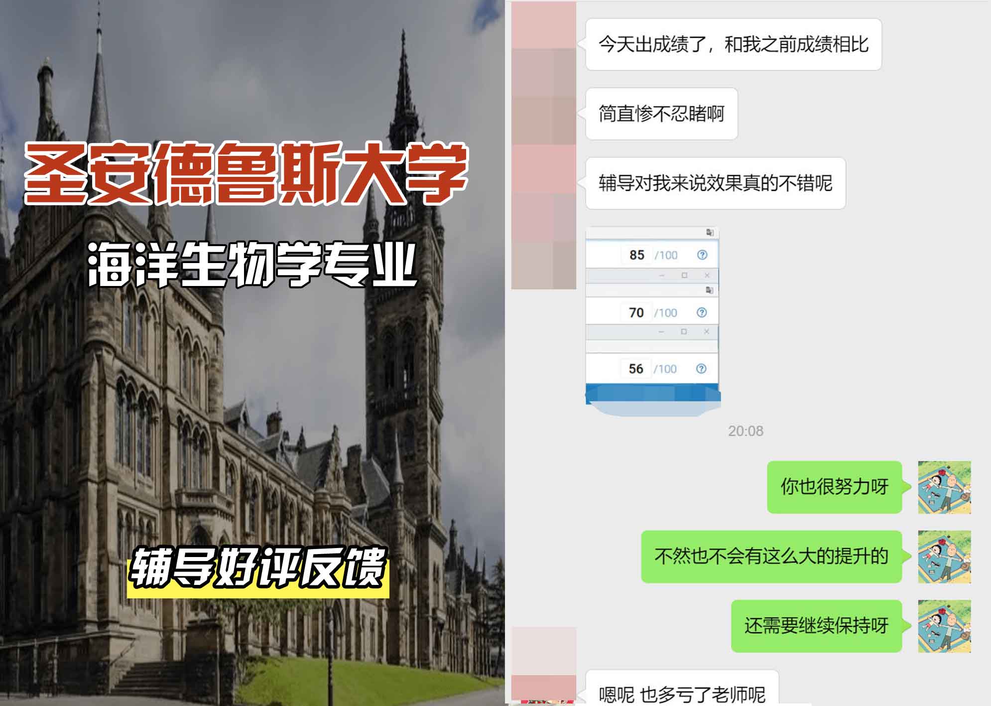 圣安圣安德鲁斯大学海洋生物学辅导好评反馈