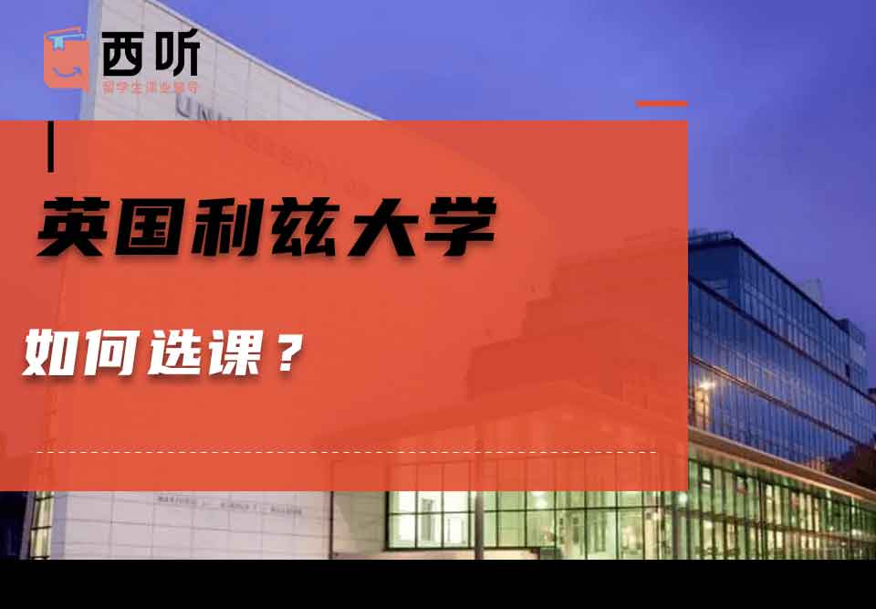 英国利兹大学如何选课？