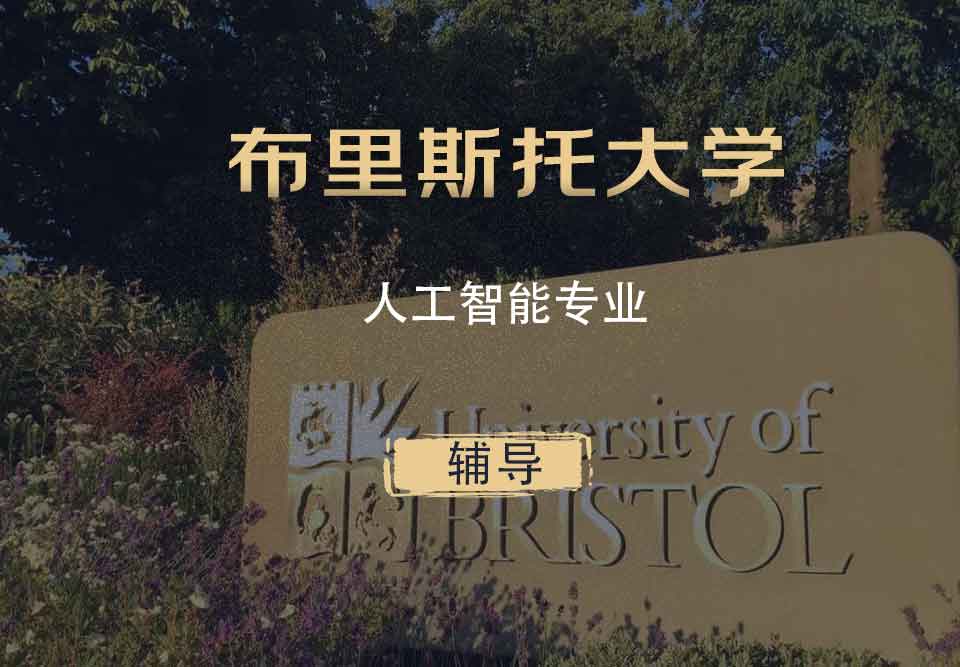 布里斯托人工智能AI辅导