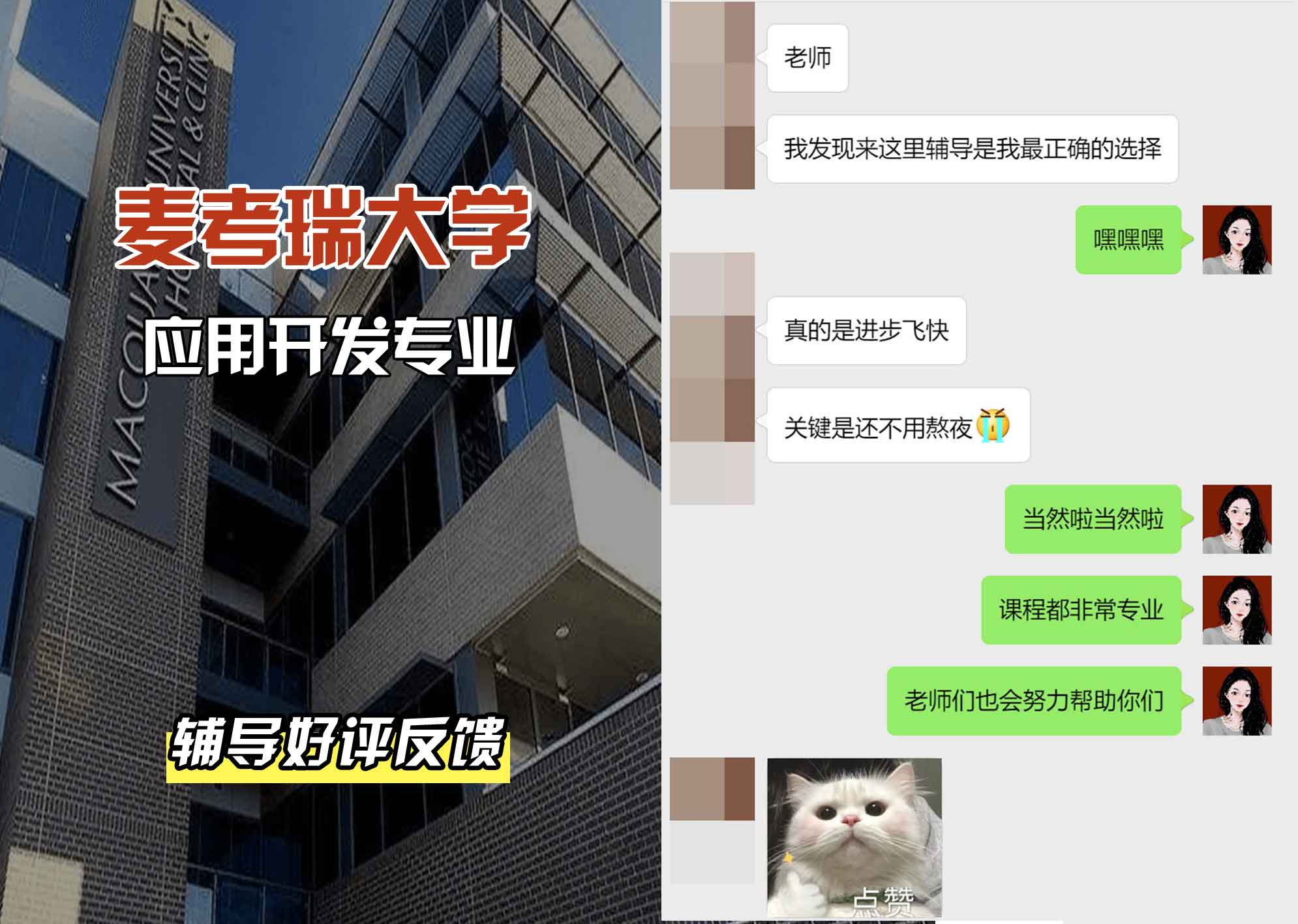 麦考瑞大学MQU应用开发辅导好评反馈