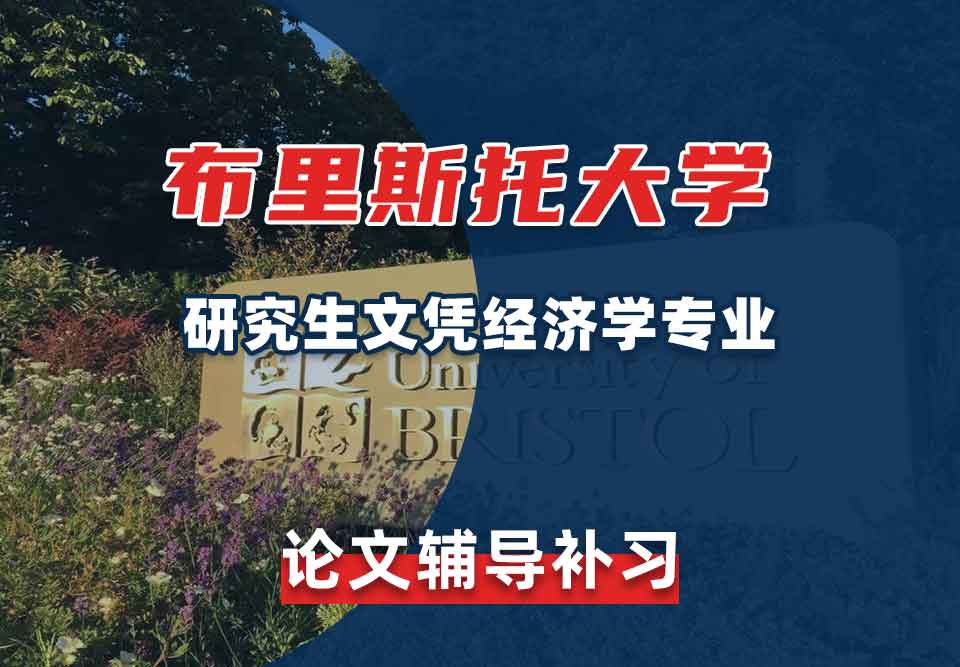 留学生学术论文辅导丨布大研究生文凭经济学专业论文查重工具介绍