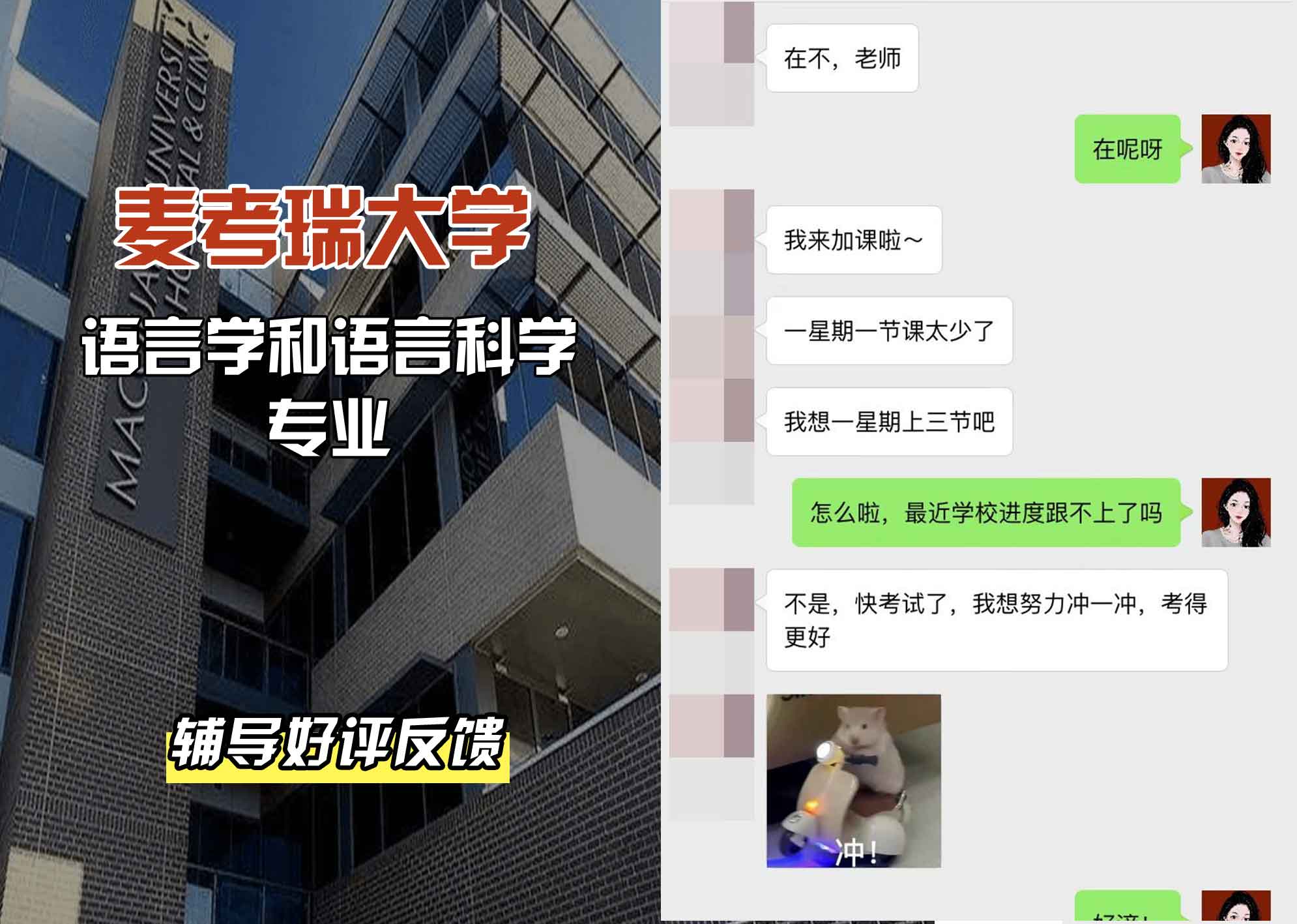 麦考瑞大学MQU语言学和语言科学辅导好评反馈