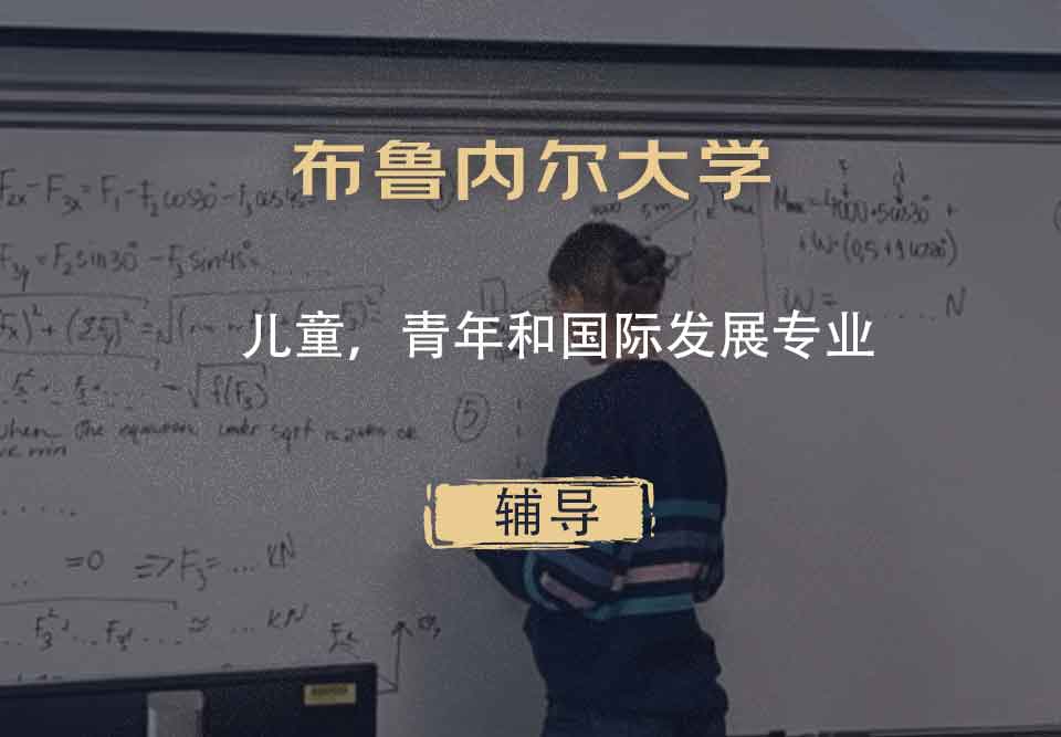 布鲁内尔大学Brunel儿童，青年和国际发展辅导
