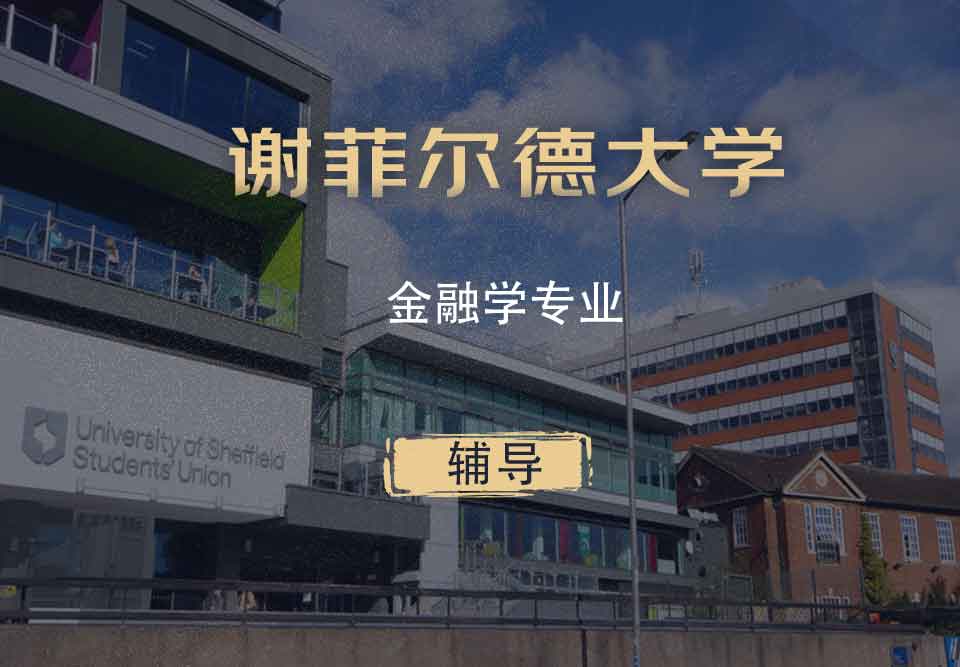 谢菲金融学FIN辅导