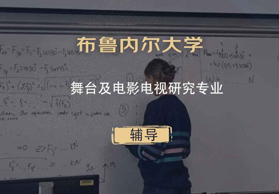 布鲁内尔大学Brunel舞台及电影电视研究辅导