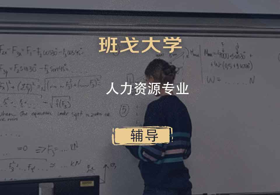 班戈大学Bangor人力资源辅导