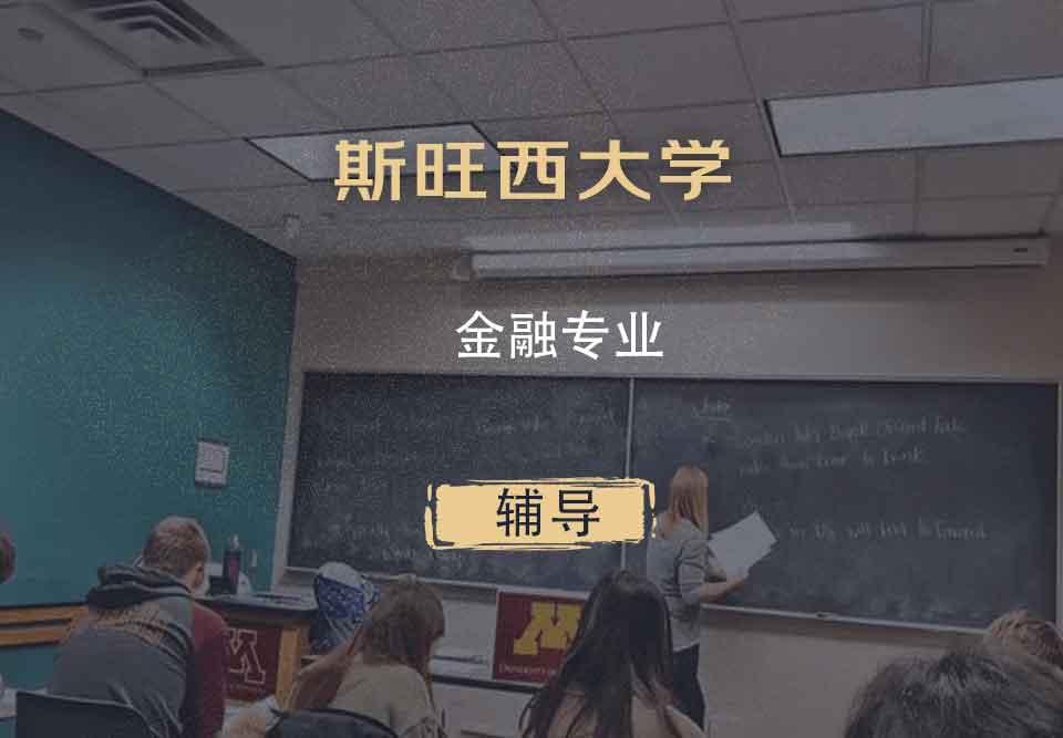 斯旺西大学Swansea金融辅导