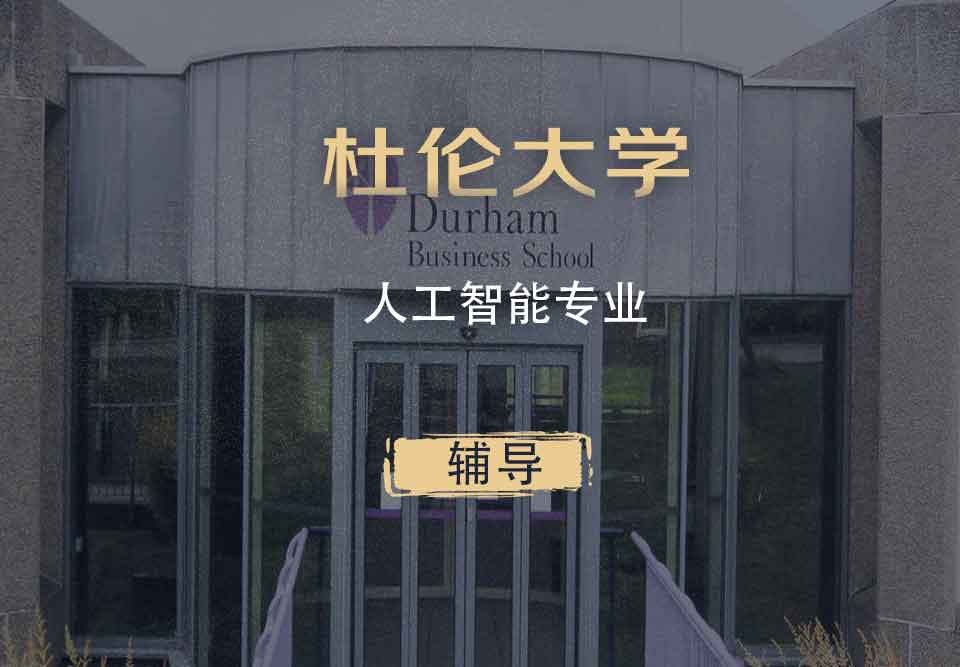 杜伦人工智能AI辅导