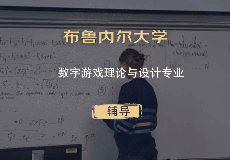 布鲁内尔大学Brunel数字游戏理论与设计辅导