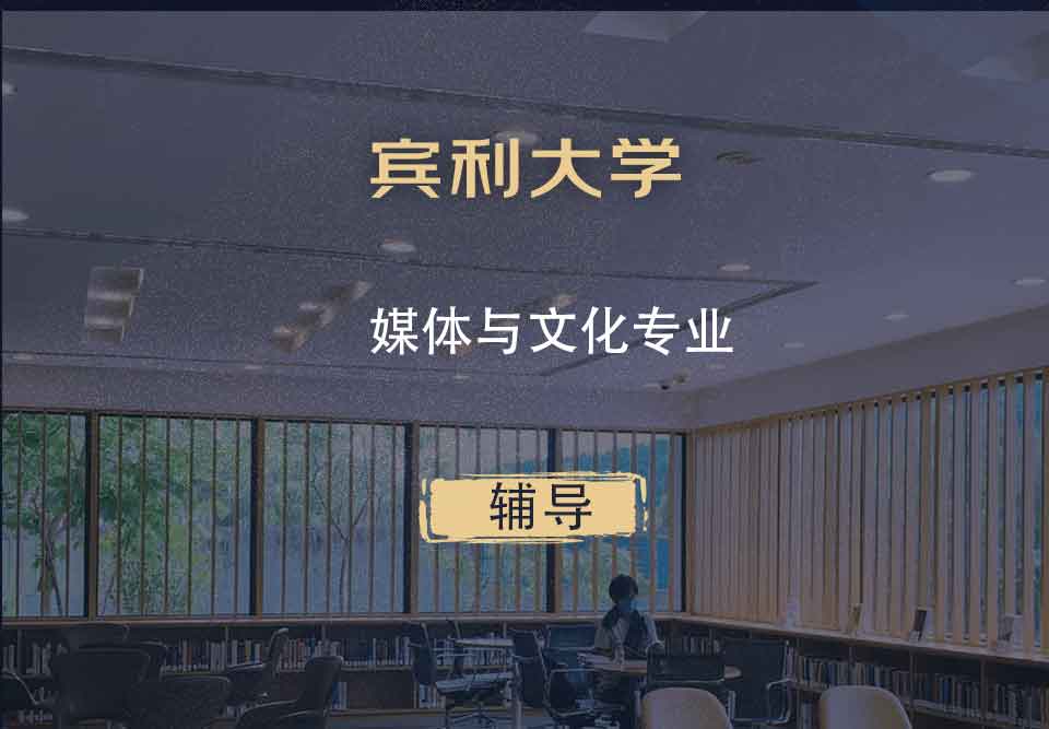 宾利大学Upenn媒体与文化辅导
