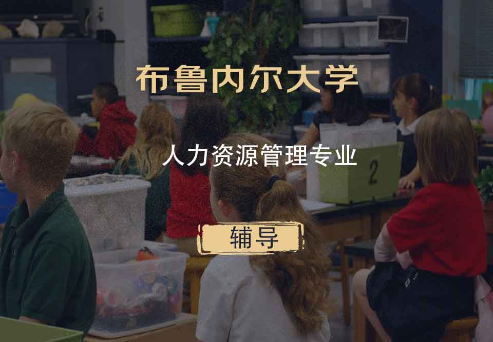 布鲁内尔大学Brunel人力资源管理辅导