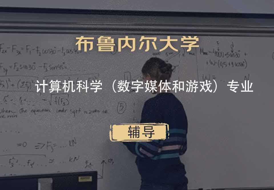 布鲁内尔大学Brunel计算机科学（数字媒体和游戏）辅导