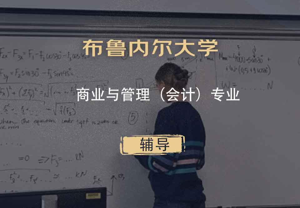 布鲁内尔大学Brunel商业与管理（会计）辅导
