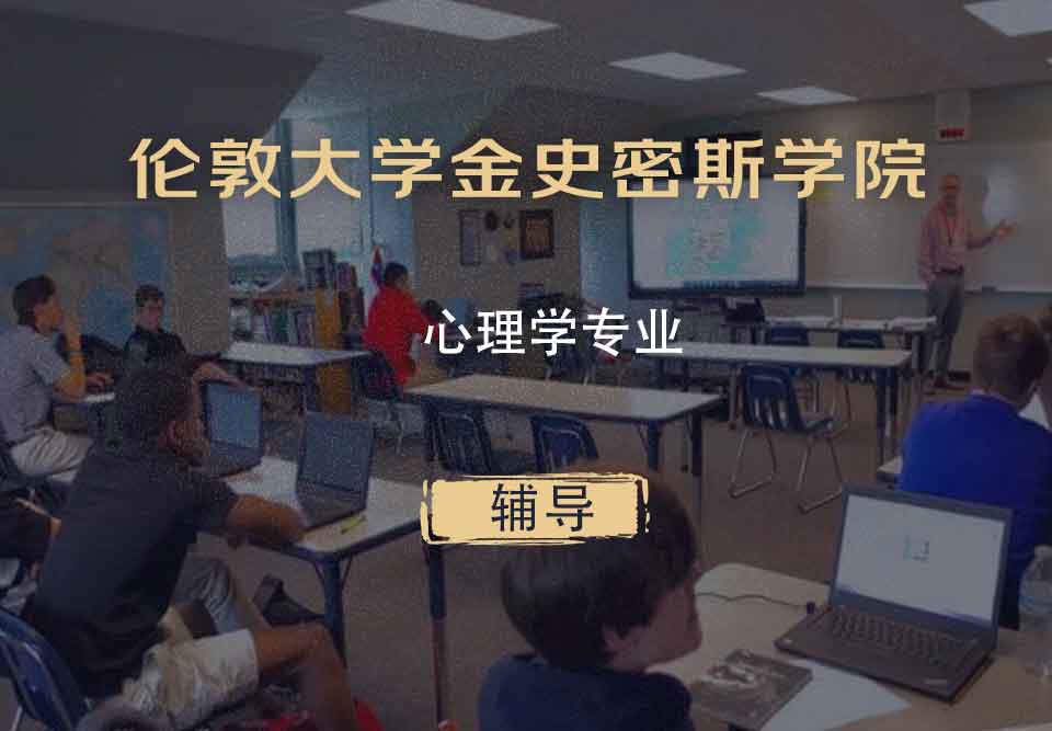 伦敦大学金史密斯学院心理学辅导