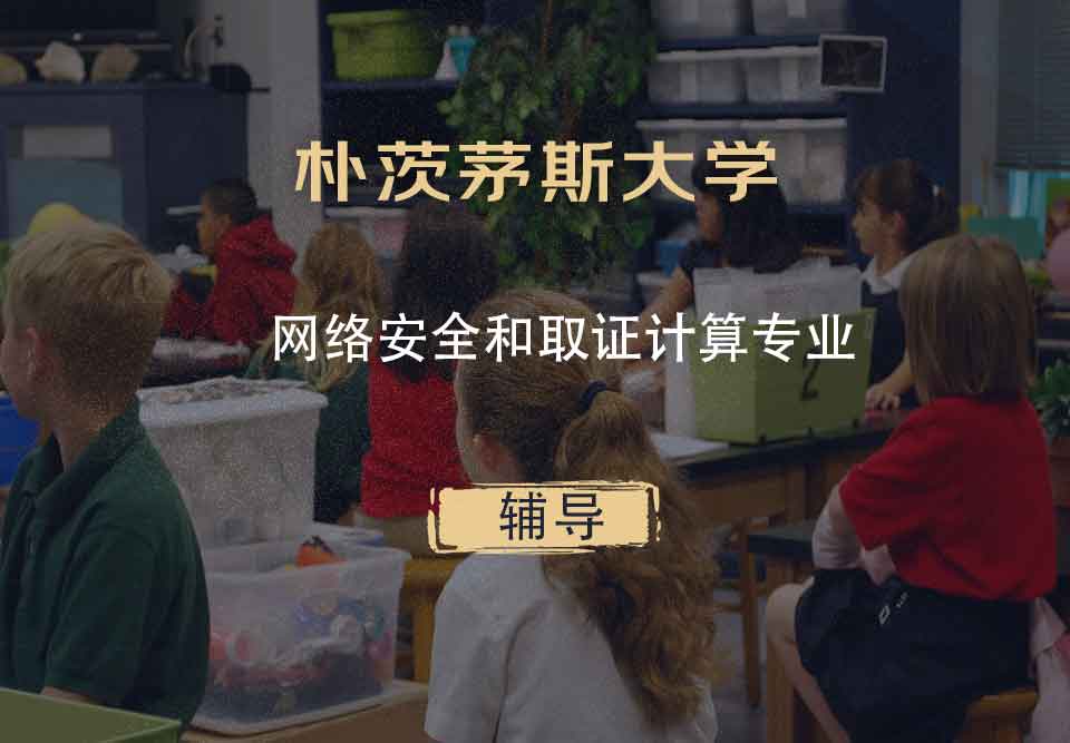 朴茨茅斯大学UOP网络安全和取证计算辅导