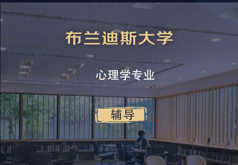 布兰迪斯大学心理学辅导