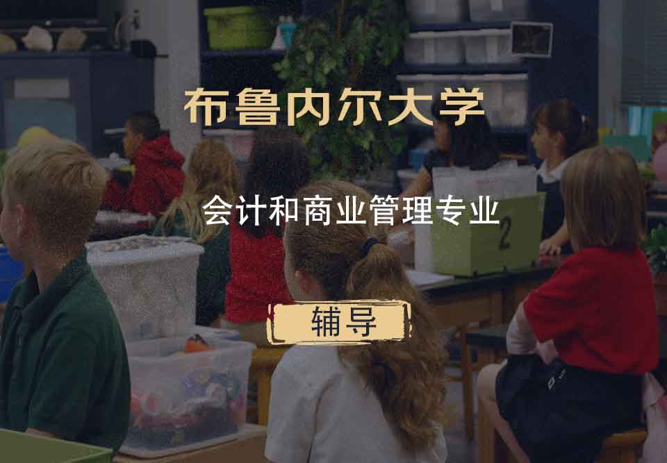 布鲁内尔大学Brunel会计和商业管理辅导