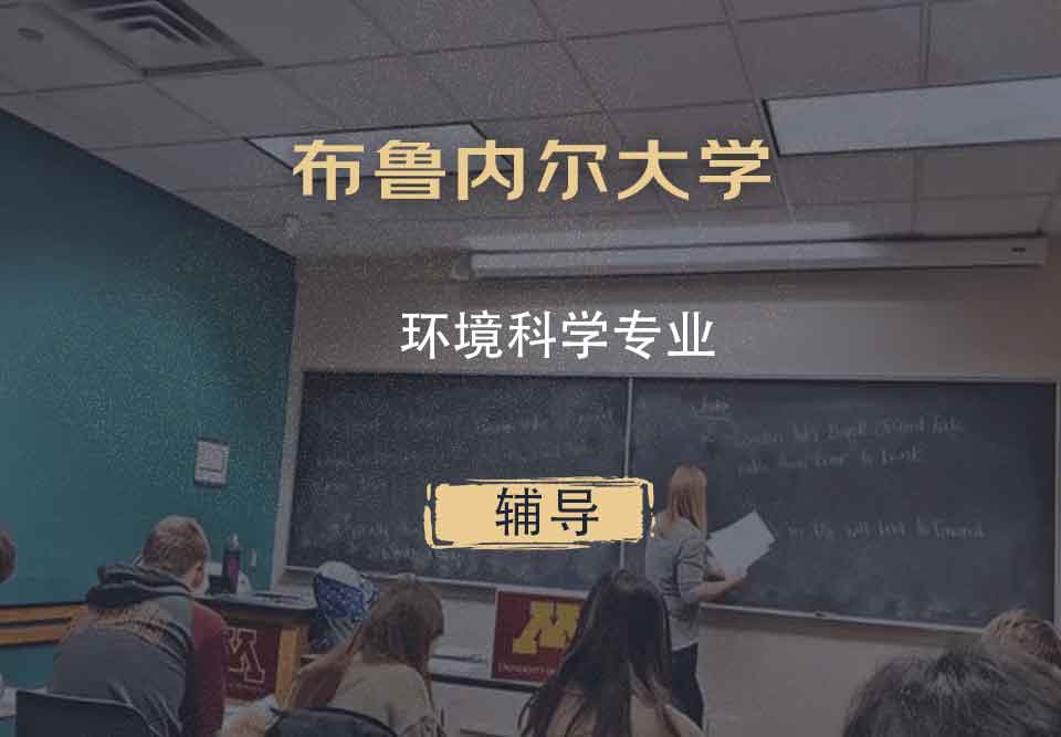 布鲁内尔大学Brunel环境科学辅导
