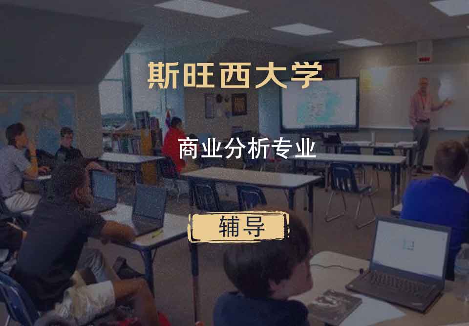 斯旺西大学Swansea商业分析辅导