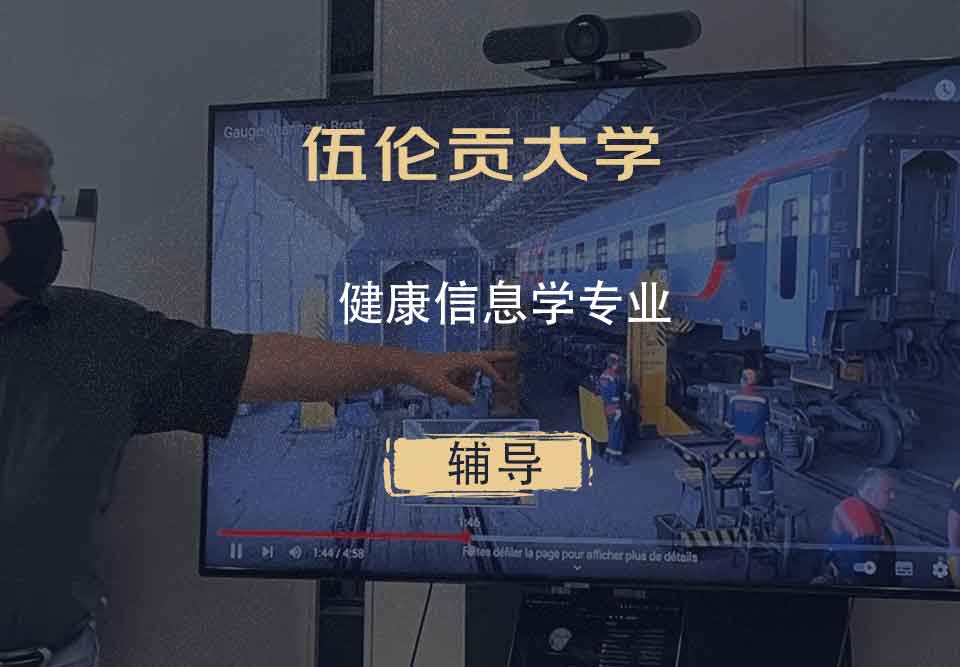伍伦贡大学UOW健康信息学辅导