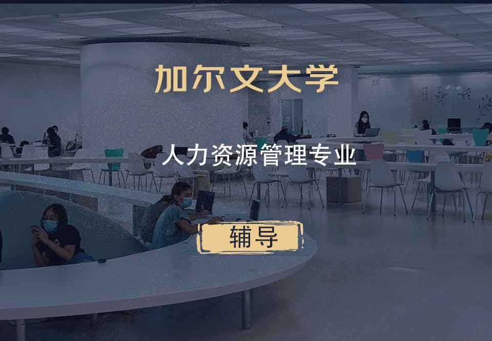加尔文大学人力资源管理辅导