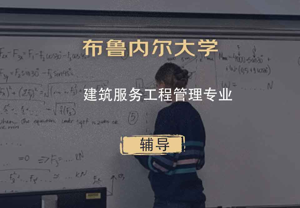 布鲁内尔大学Brunel建筑服务工程管理辅导