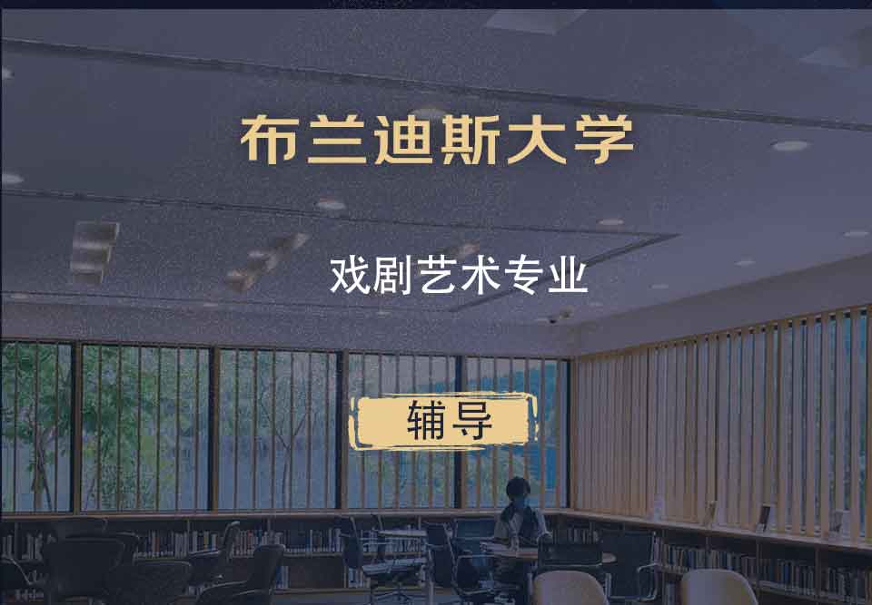 布兰迪斯大学戏剧艺术辅导