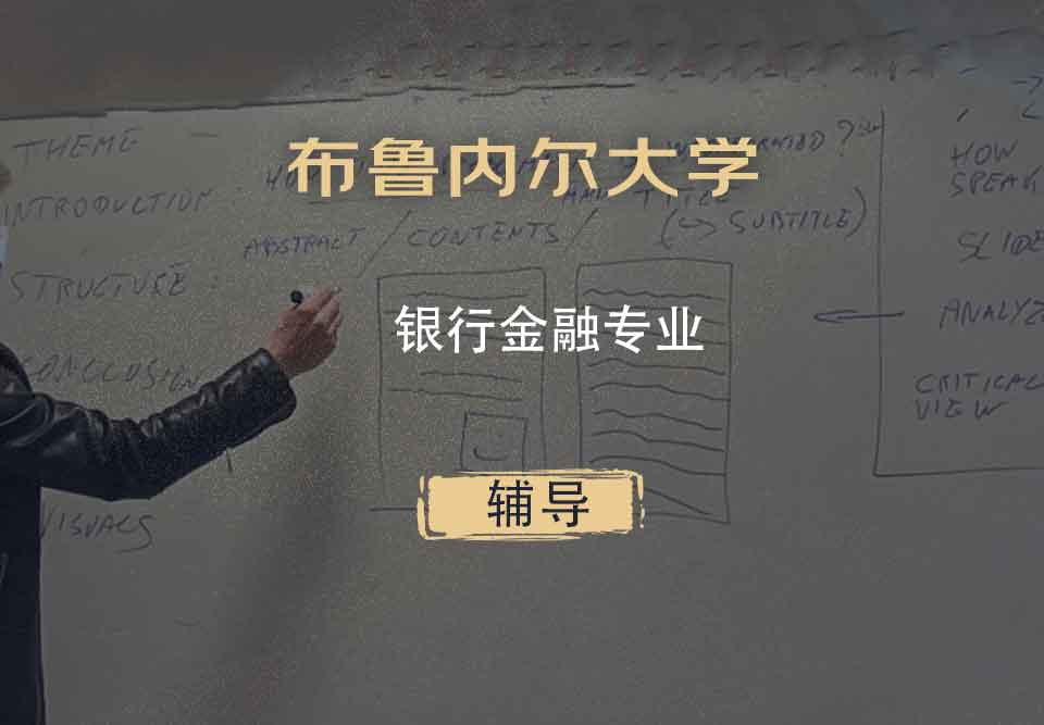 布鲁内尔大学Brunel银行金融辅导