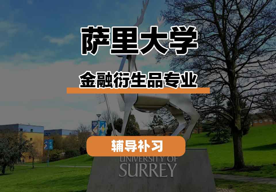 留学生线上一对一辅导丨萨里大学金融衍生品专业优势是什么?
