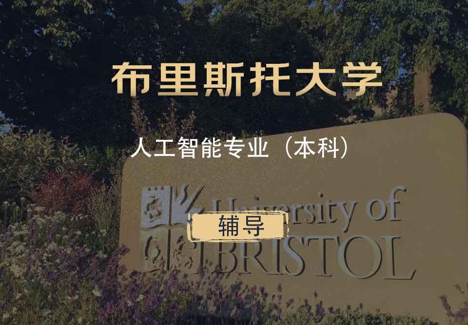 布里斯托人工智能AI本科辅导