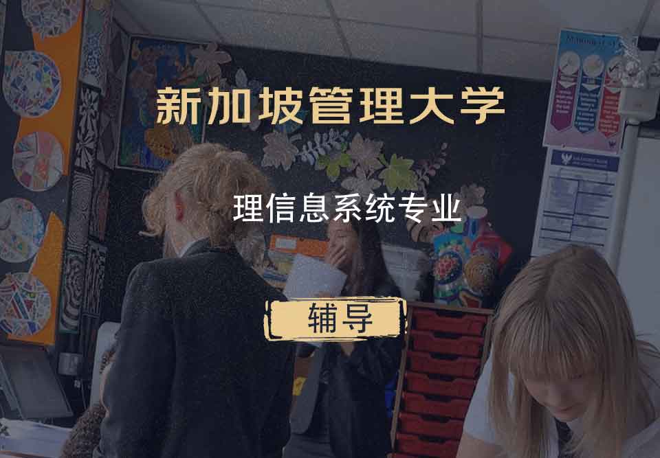 新加坡管理大学SMU理信息系统辅导