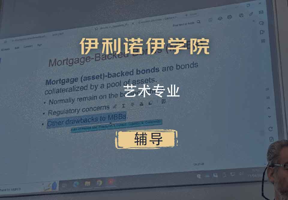 伊利诺伊学院UI艺术辅导