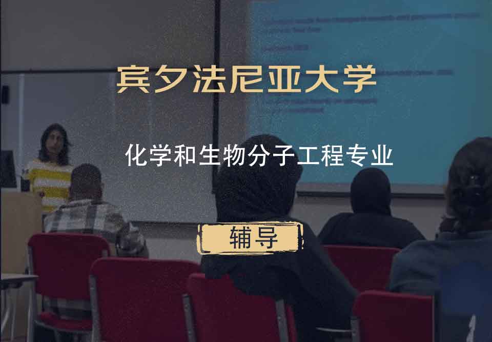 宾夕法尼亚大学UPenn化学和生物分子工程辅导