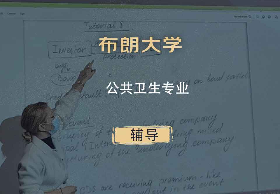 布朗大学Brown公共卫生辅导