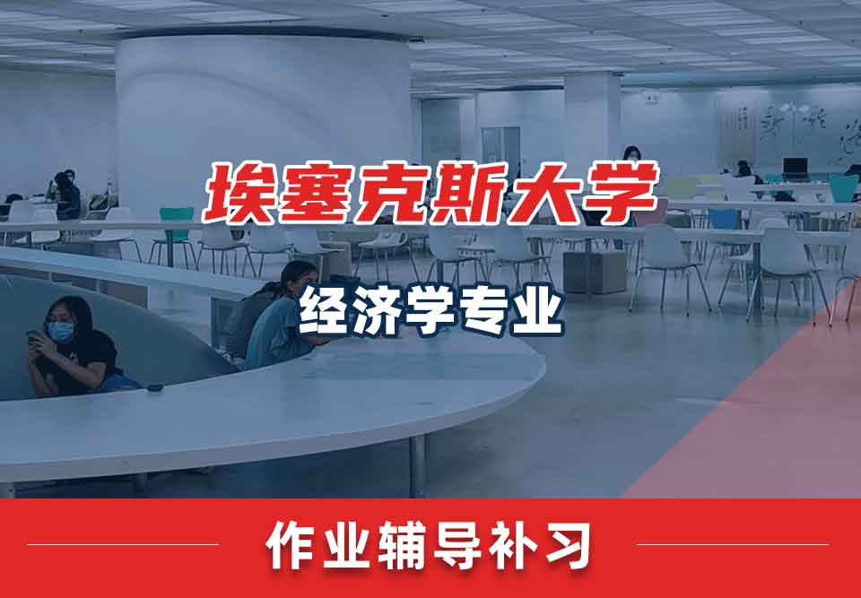 埃塞克斯大学Essex经济学作业辅导补习补课