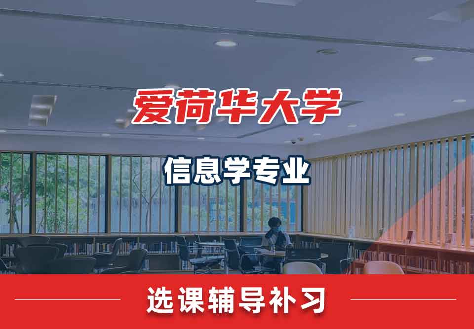 爱荷华大学U-Iowa信息学选课辅导补习补课