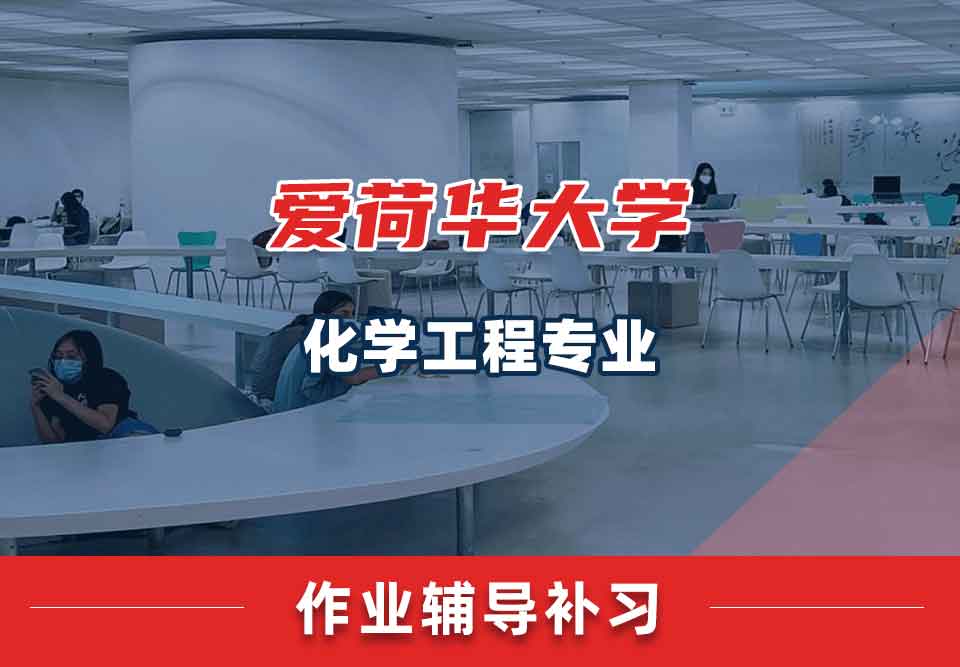 爱荷华大学U-Iowa化学工程作业辅导补习补课