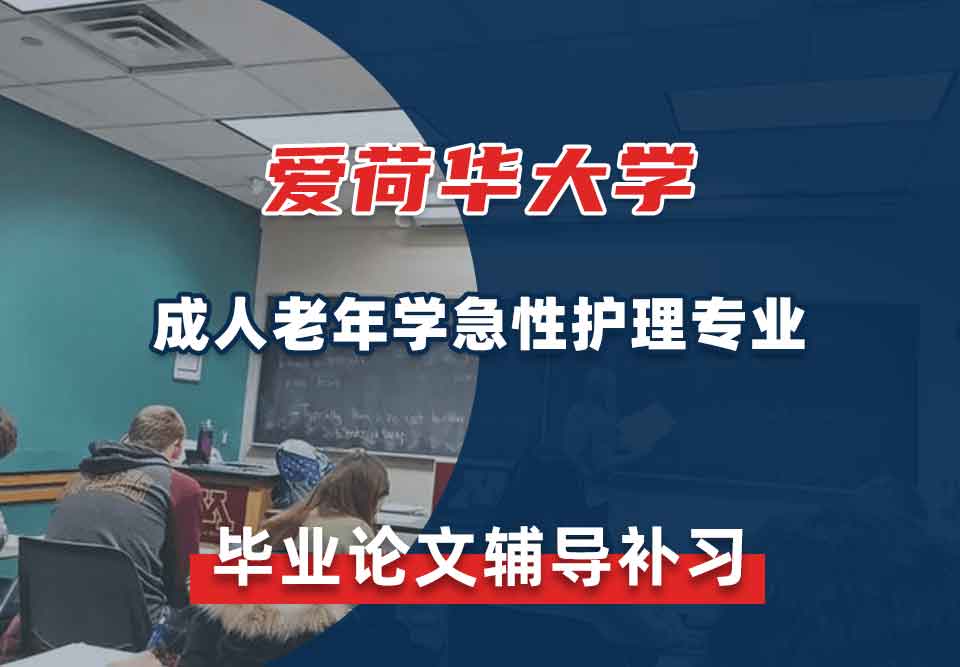 爱荷华大学U-Iowa成人老年学急性护理毕业论文辅导补习补课
