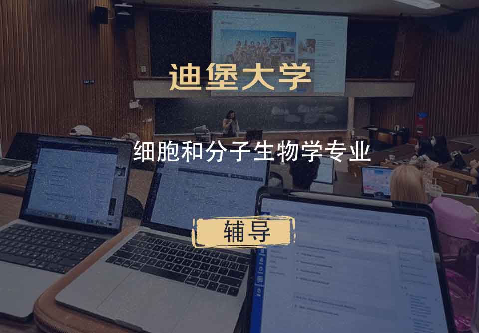 迪堡大学细胞和分子生物学辅导