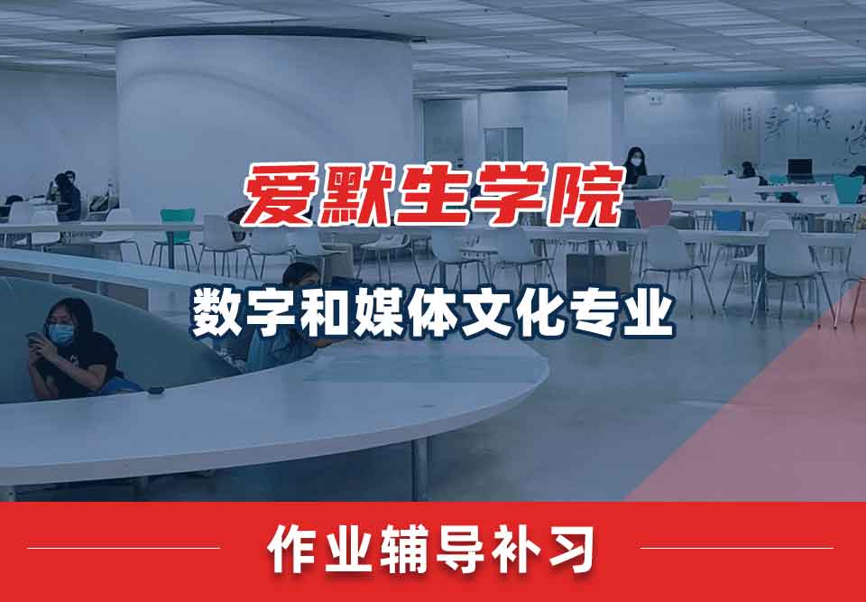 爱默生学院数字和媒体文化作业辅导补习补课