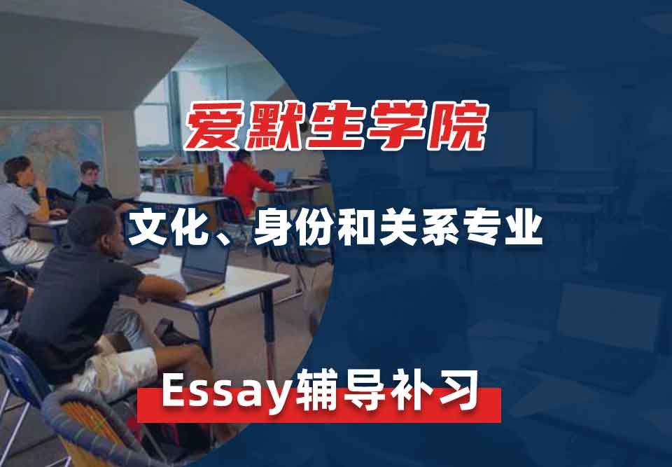 爱默生学院文化、身份和关系Essay辅导补习补课