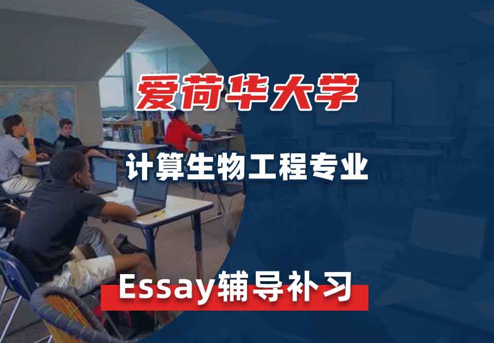 爱荷华大学U-Iowa计算生物工程Essay辅导补习补课