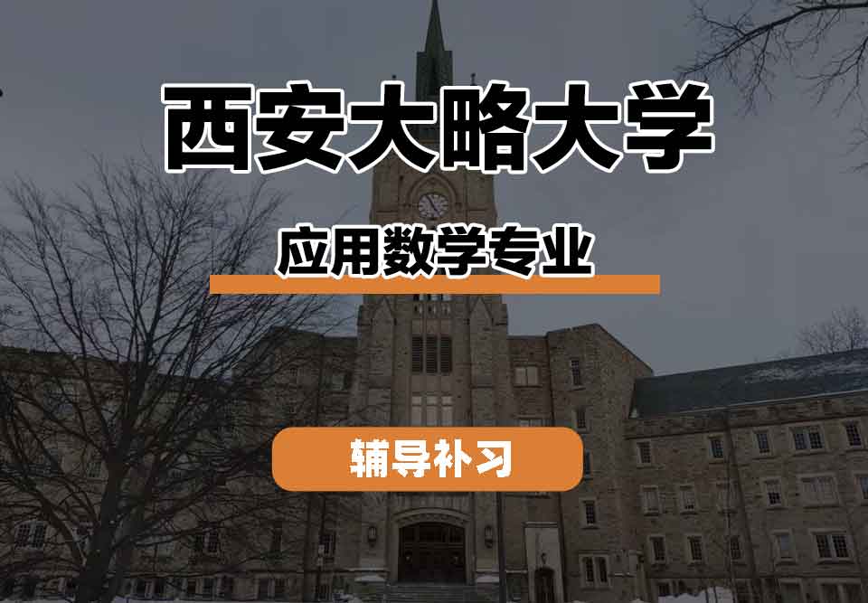 留学生线上一对一辅导丨西安大略大学应用数学教学方法是什么样子的？