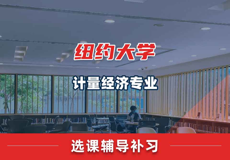 纽约大学NYU计量经济选课辅导补习补课