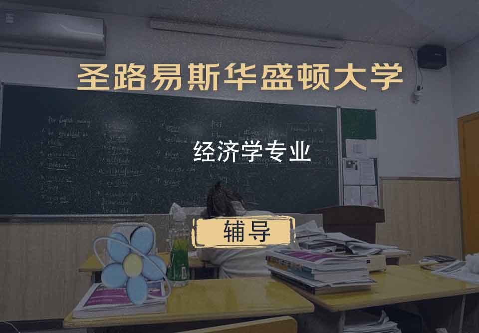 圣路易斯华盛顿大学WUSTL经济学辅导