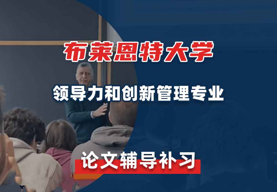 布莱恩特大学领导力和创新管理论文辅导补习补课