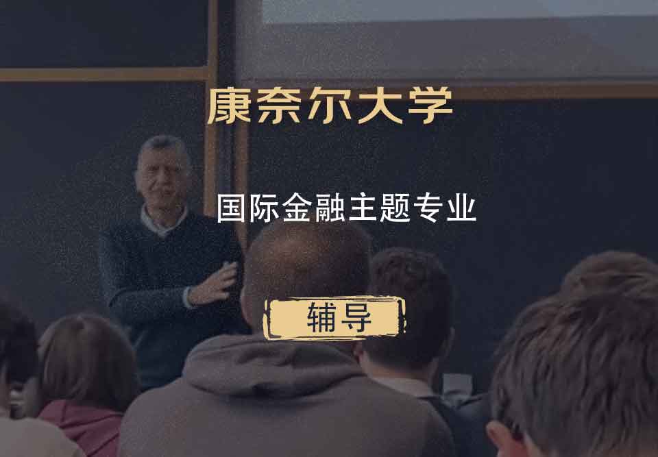 康奈尔大学CU国际金融主题辅导