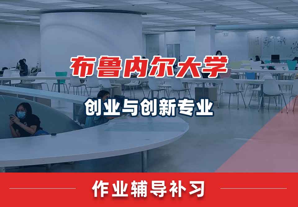 布鲁内尔大学Brunel创业与创新作业辅导补习补课