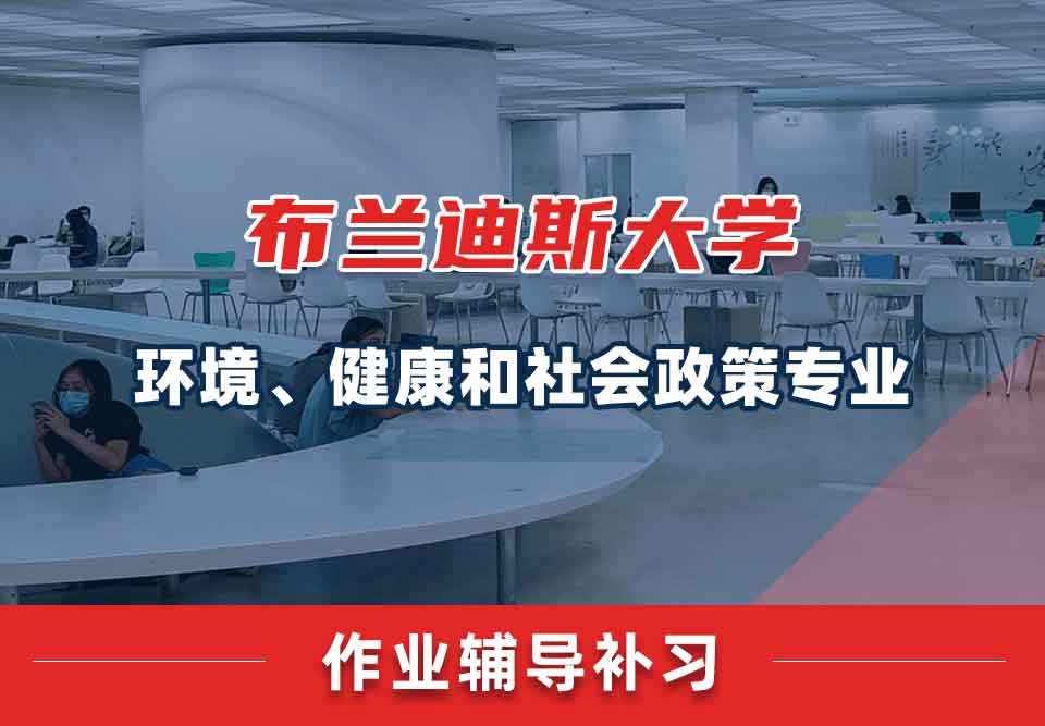 布兰迪斯大学环境、健康和社会政策作业辅导补习补课