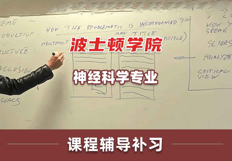 波士顿学院BC神经科学课程辅导补习补课